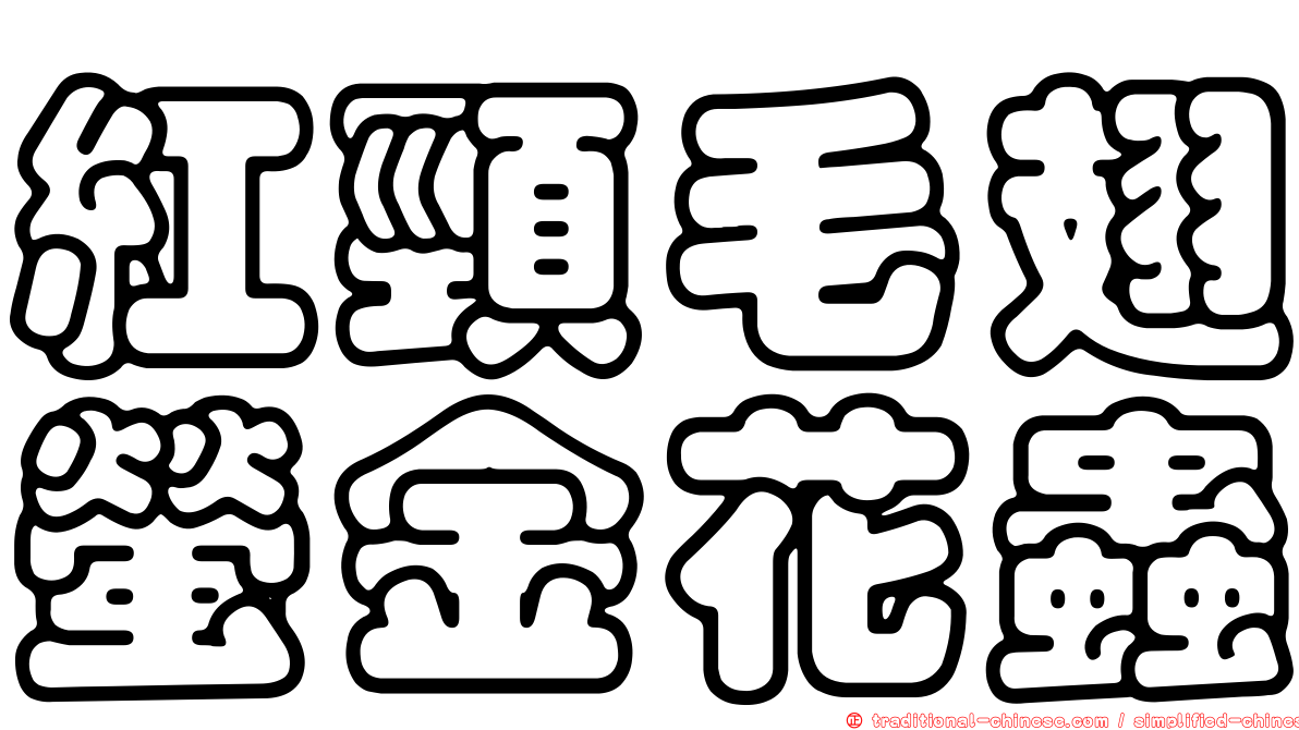 紅頸毛翅螢金花蟲