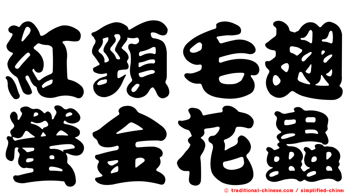 紅頸毛翅螢金花蟲
