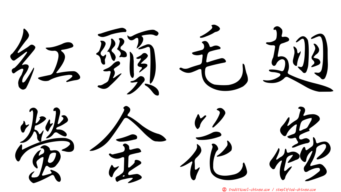 紅頸毛翅螢金花蟲