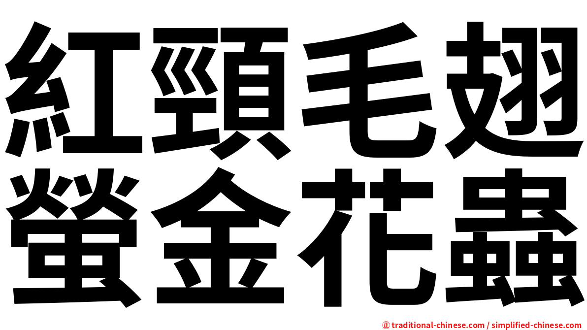 紅頸毛翅螢金花蟲