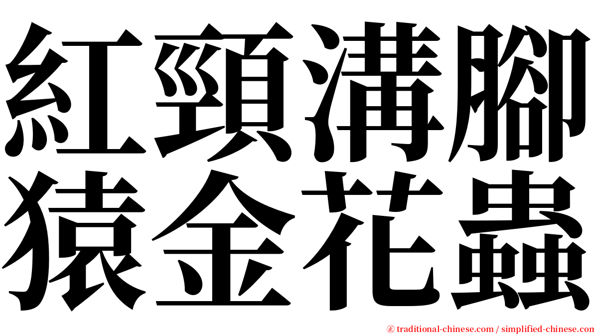 紅頸溝腳猿金花蟲 serif font