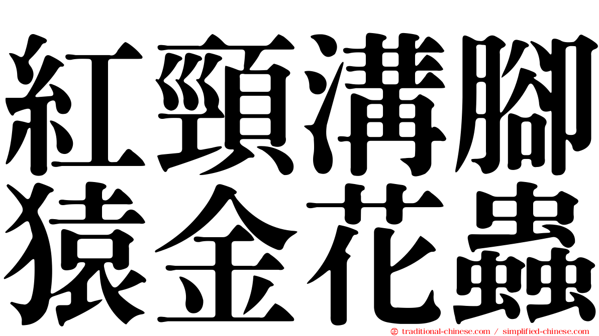 紅頸溝腳猿金花蟲