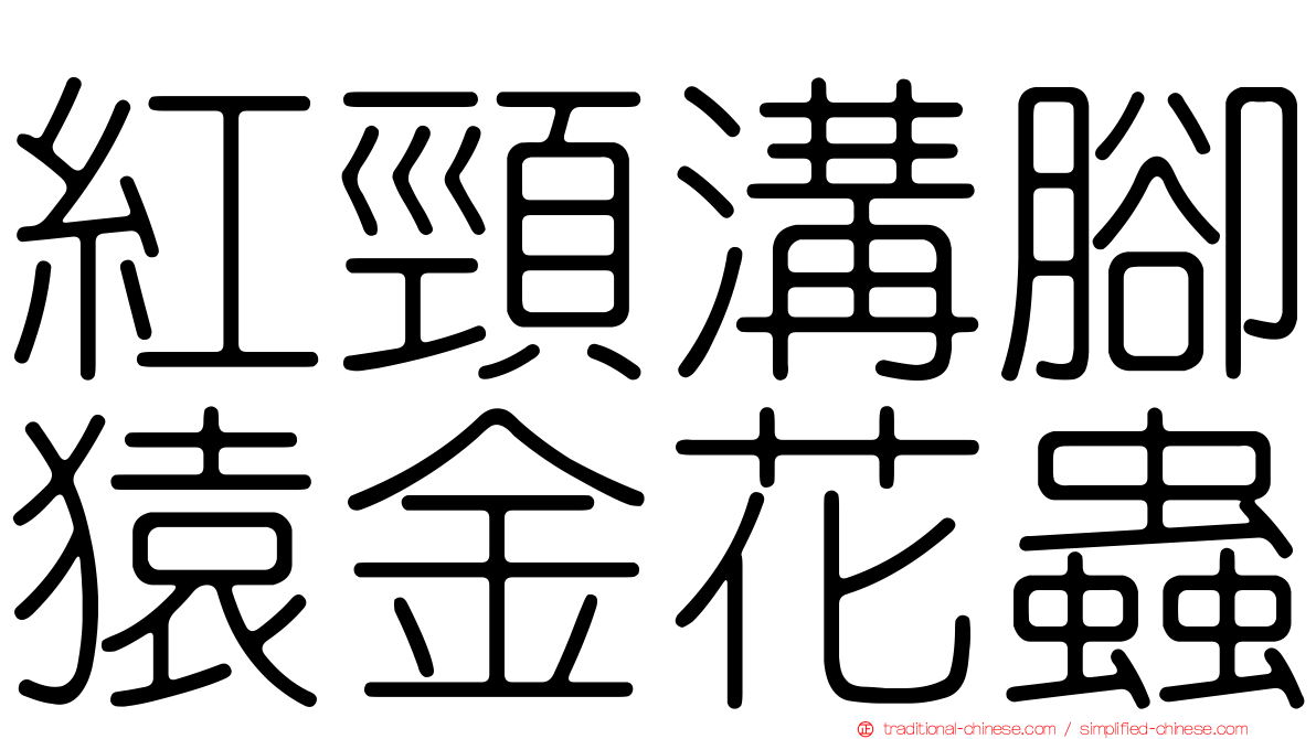 紅頸溝腳猿金花蟲