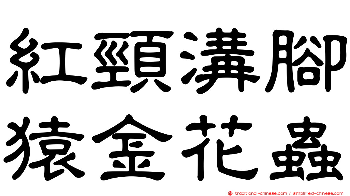 紅頸溝腳猿金花蟲