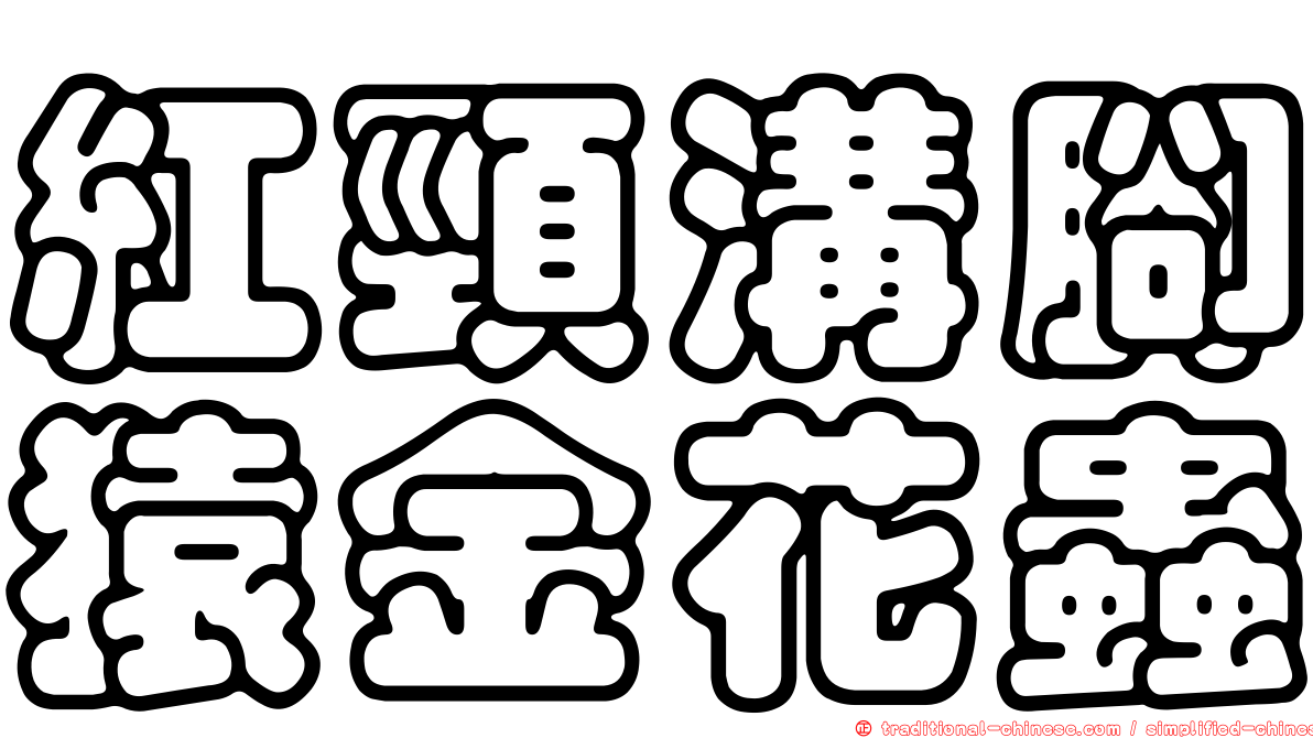 紅頸溝腳猿金花蟲