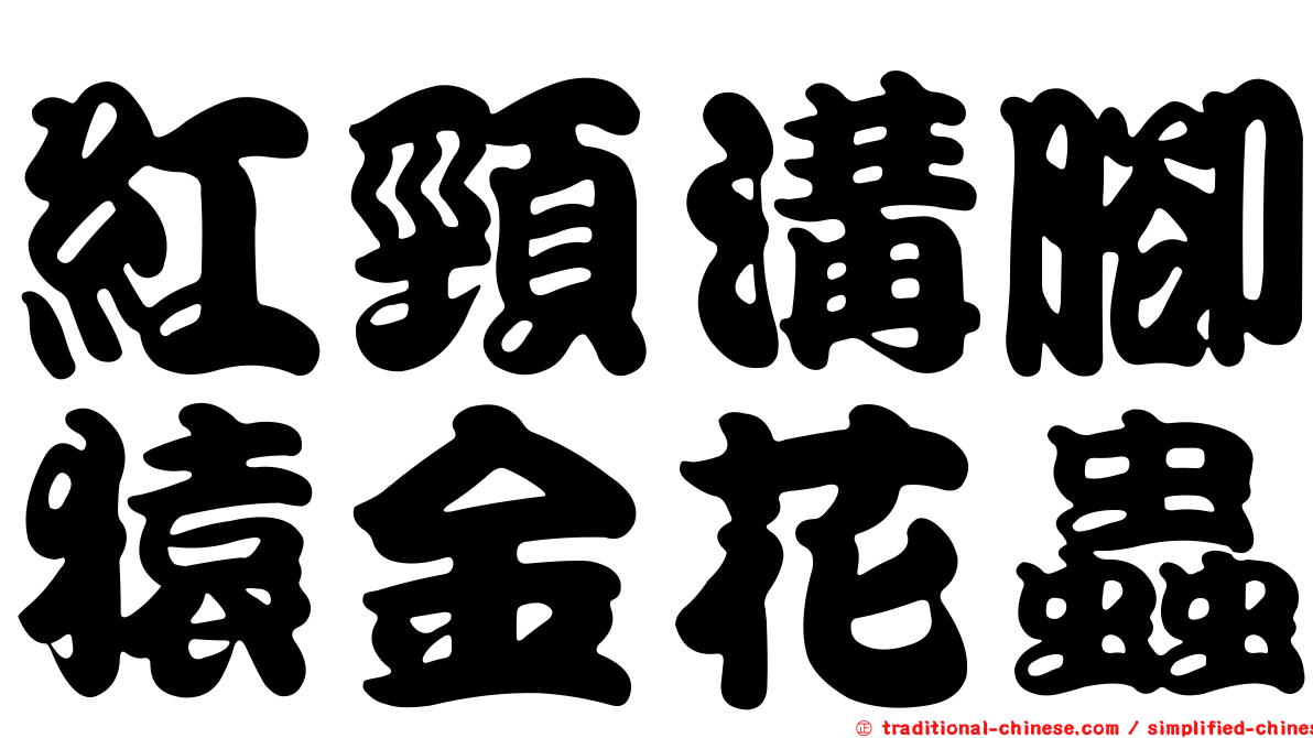 紅頸溝腳猿金花蟲