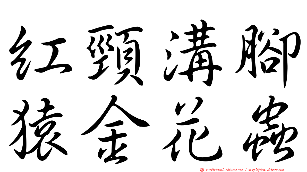 紅頸溝腳猿金花蟲