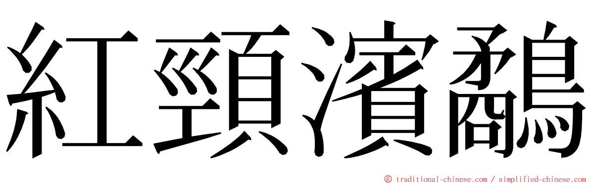 紅頸濱鷸 ming font