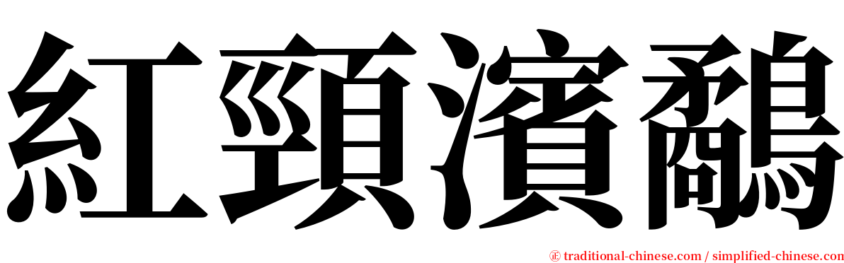 紅頸濱鷸 serif font
