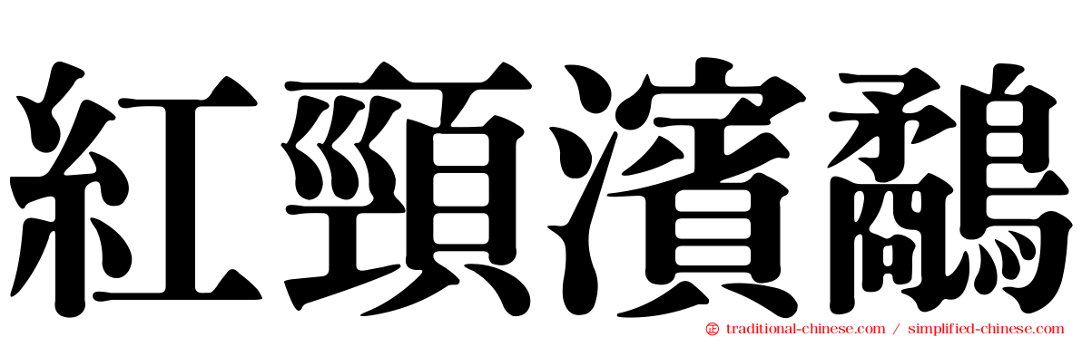 紅頸濱鷸