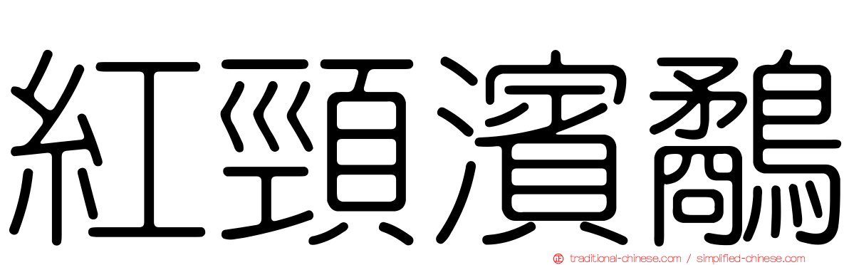 紅頸濱鷸