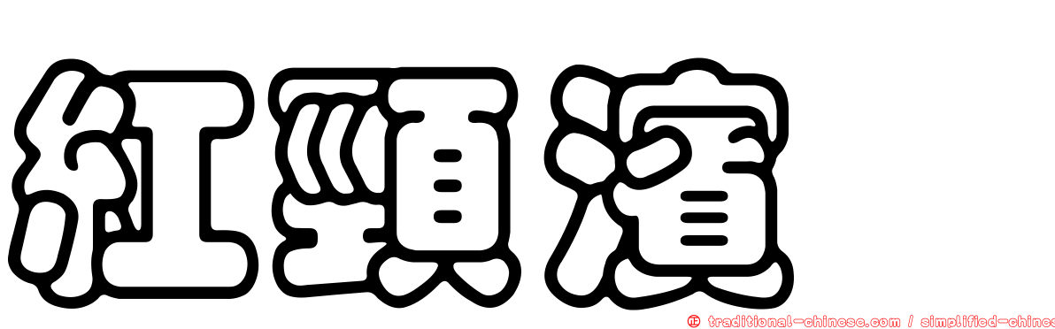 紅頸濱鷸