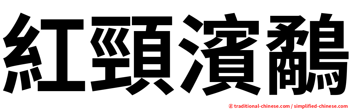紅頸濱鷸