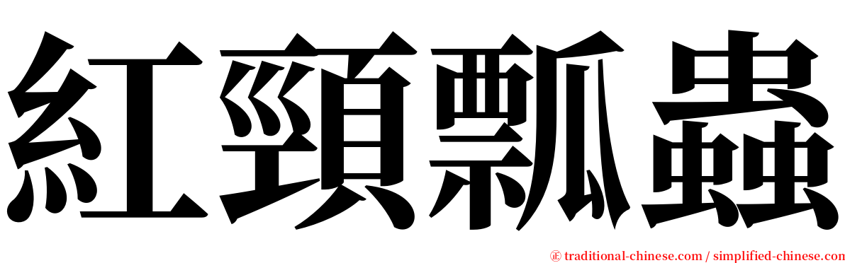 紅頸瓢蟲 serif font