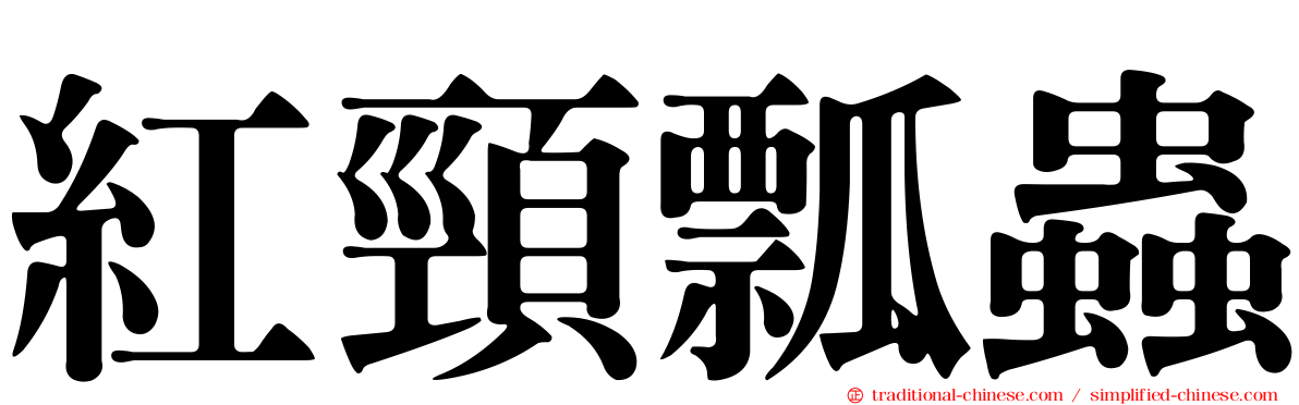 紅頸瓢蟲
