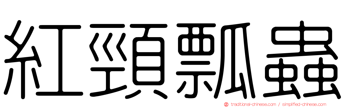 紅頸瓢蟲