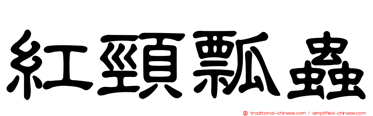 紅頸瓢蟲