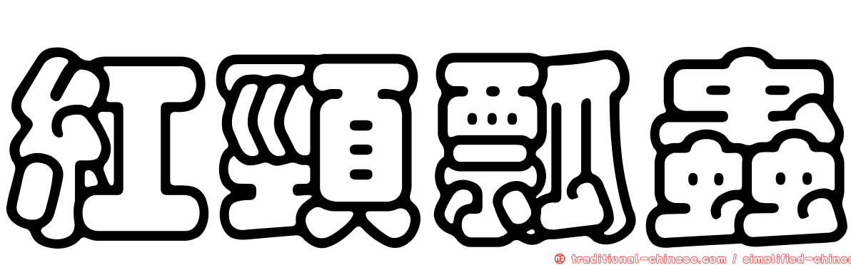 紅頸瓢蟲