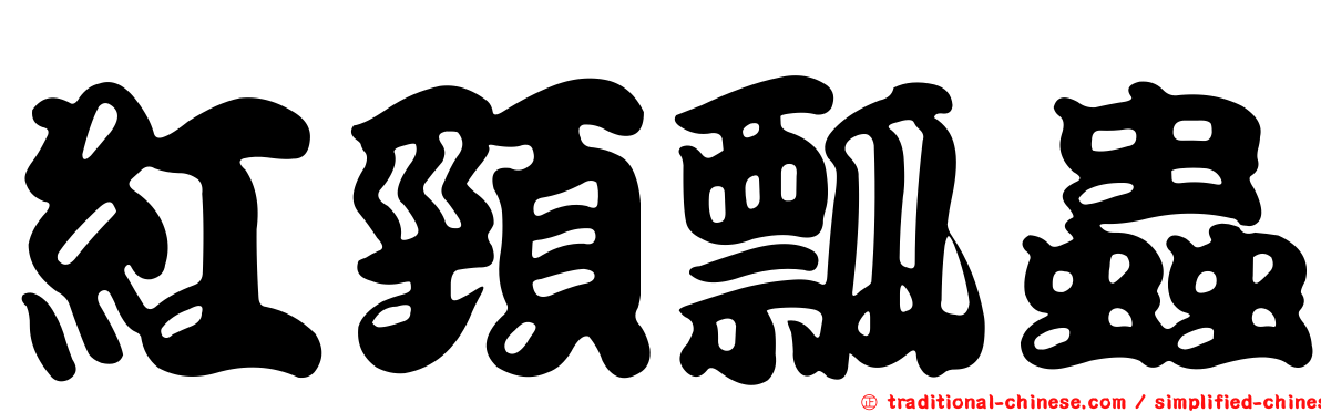 紅頸瓢蟲