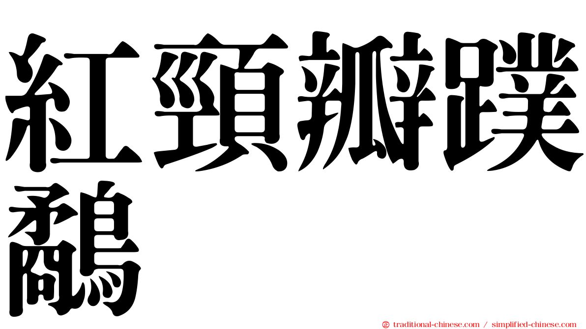 紅頸瓣蹼鷸