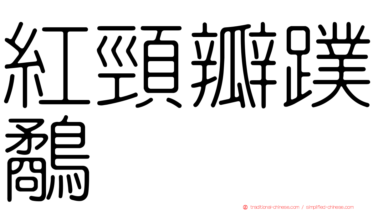 紅頸瓣蹼鷸