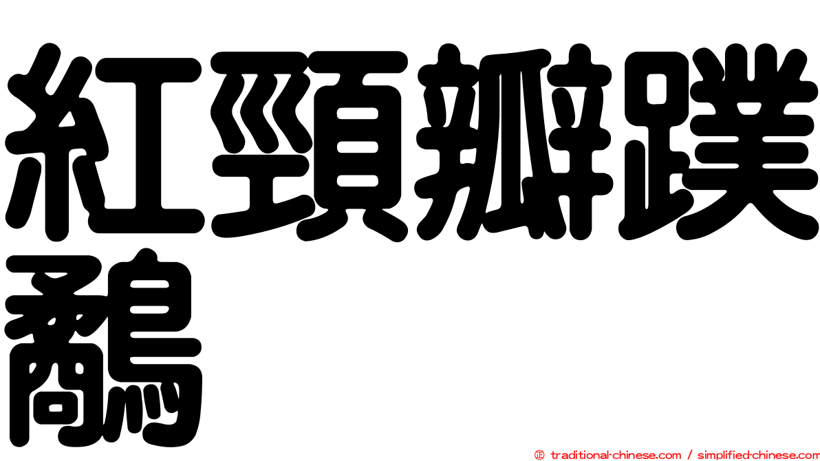 紅頸瓣蹼鷸