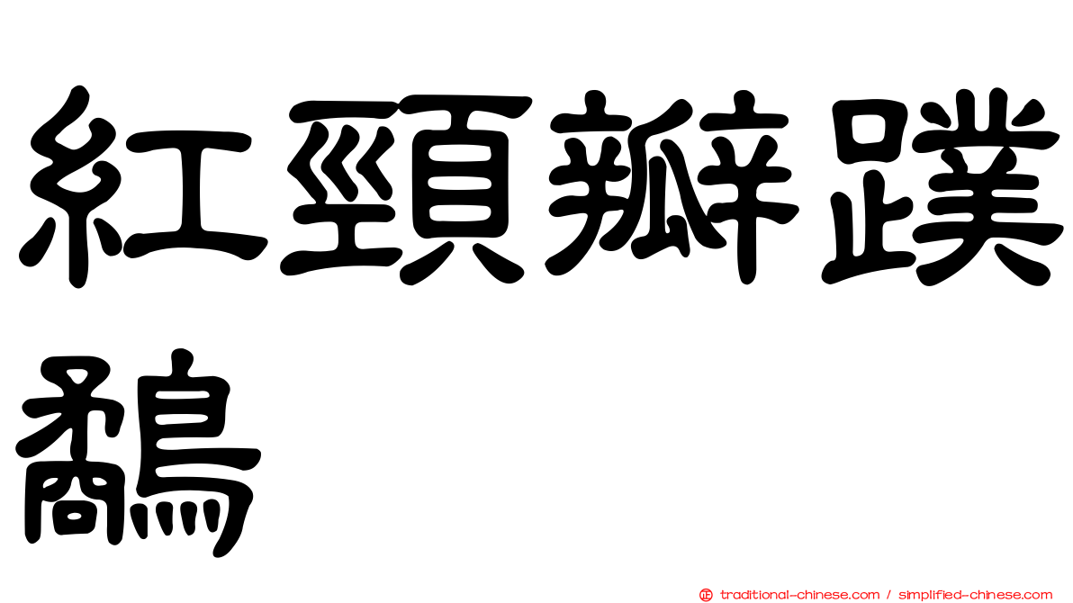 紅頸瓣蹼鷸