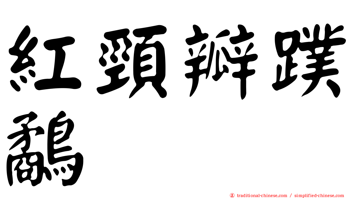 紅頸瓣蹼鷸