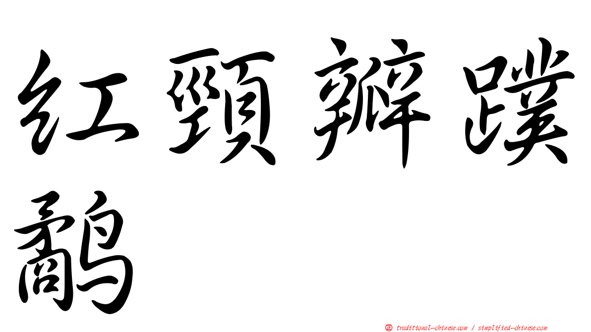 紅頸瓣蹼鷸