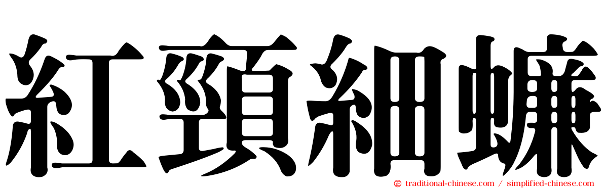 紅頸細蠊