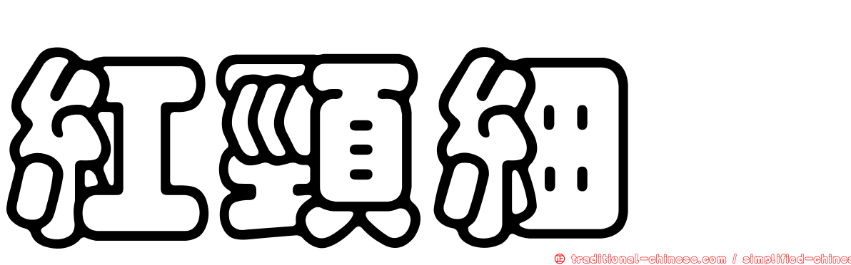 紅頸細蠊