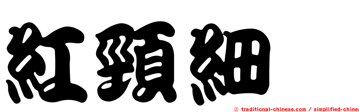 紅頸細蠊