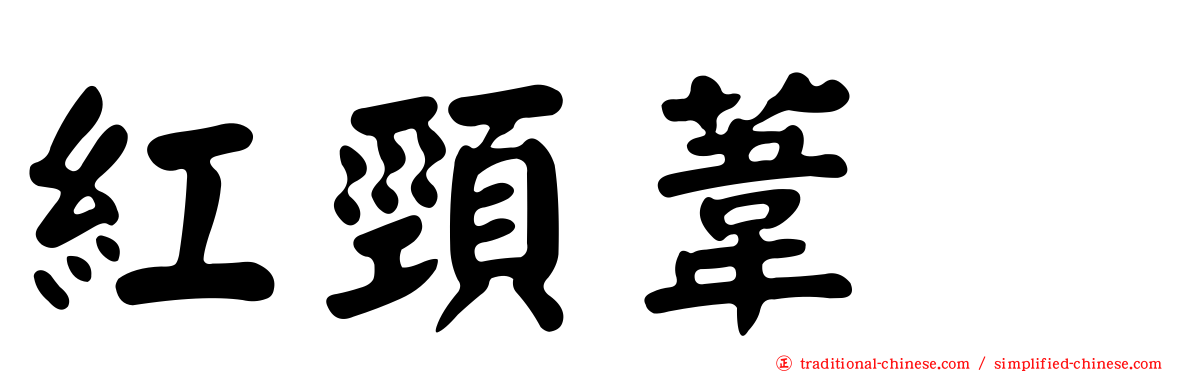紅頸葦鵐