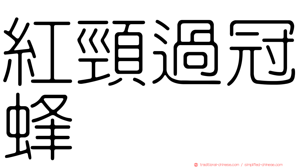紅頸過冠蜂
