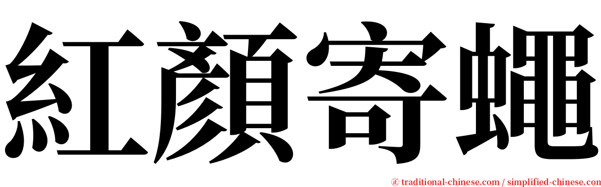 紅顏寄蠅 serif font