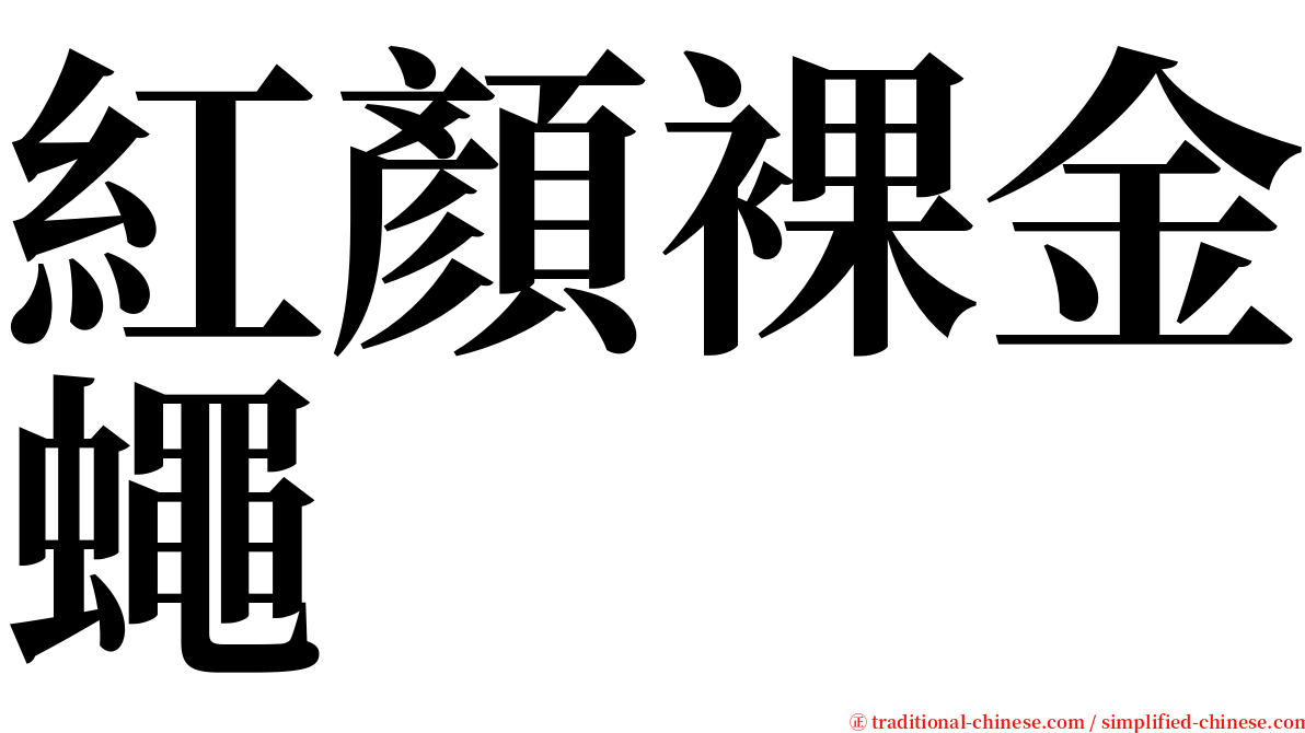紅顏裸金蠅 serif font
