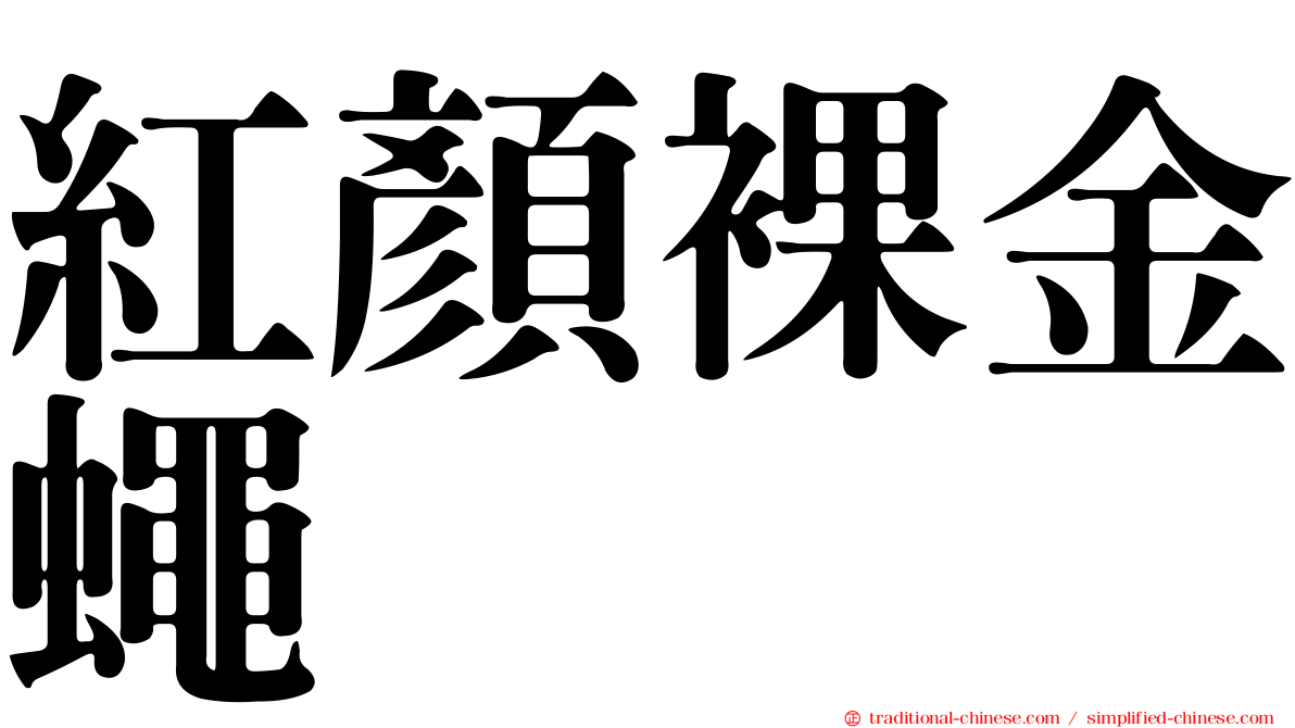 紅顏裸金蠅