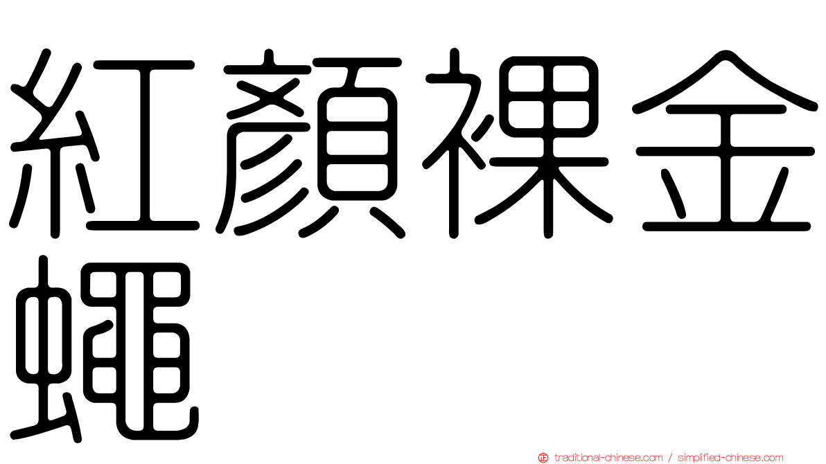 紅顏裸金蠅