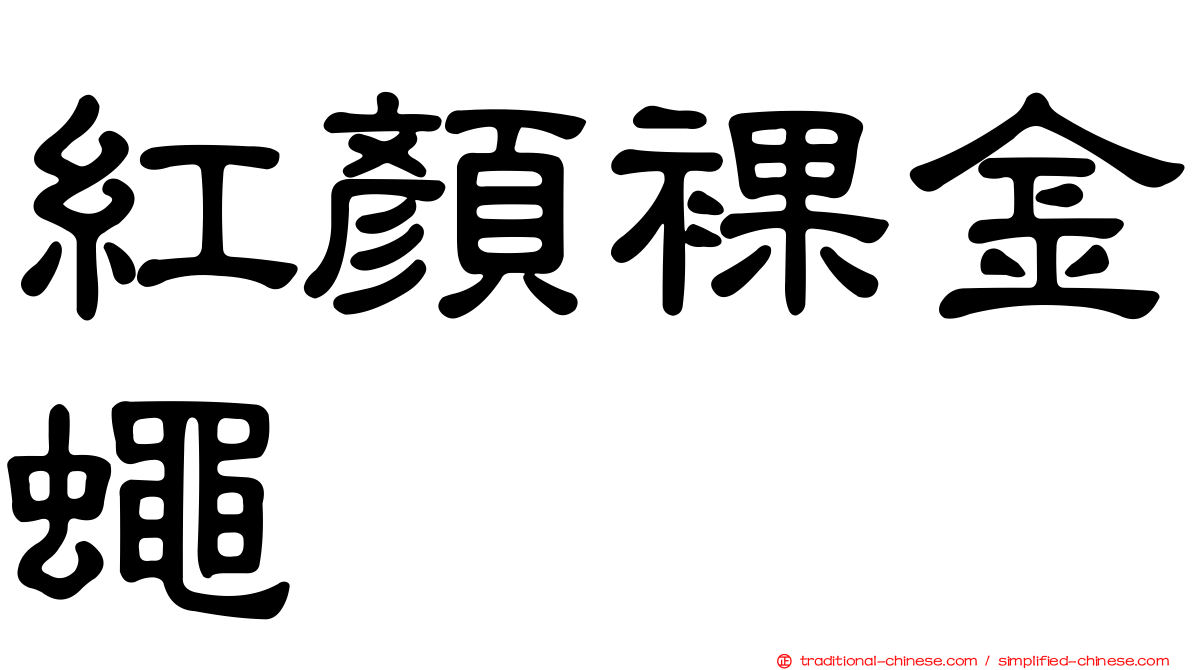 紅顏裸金蠅