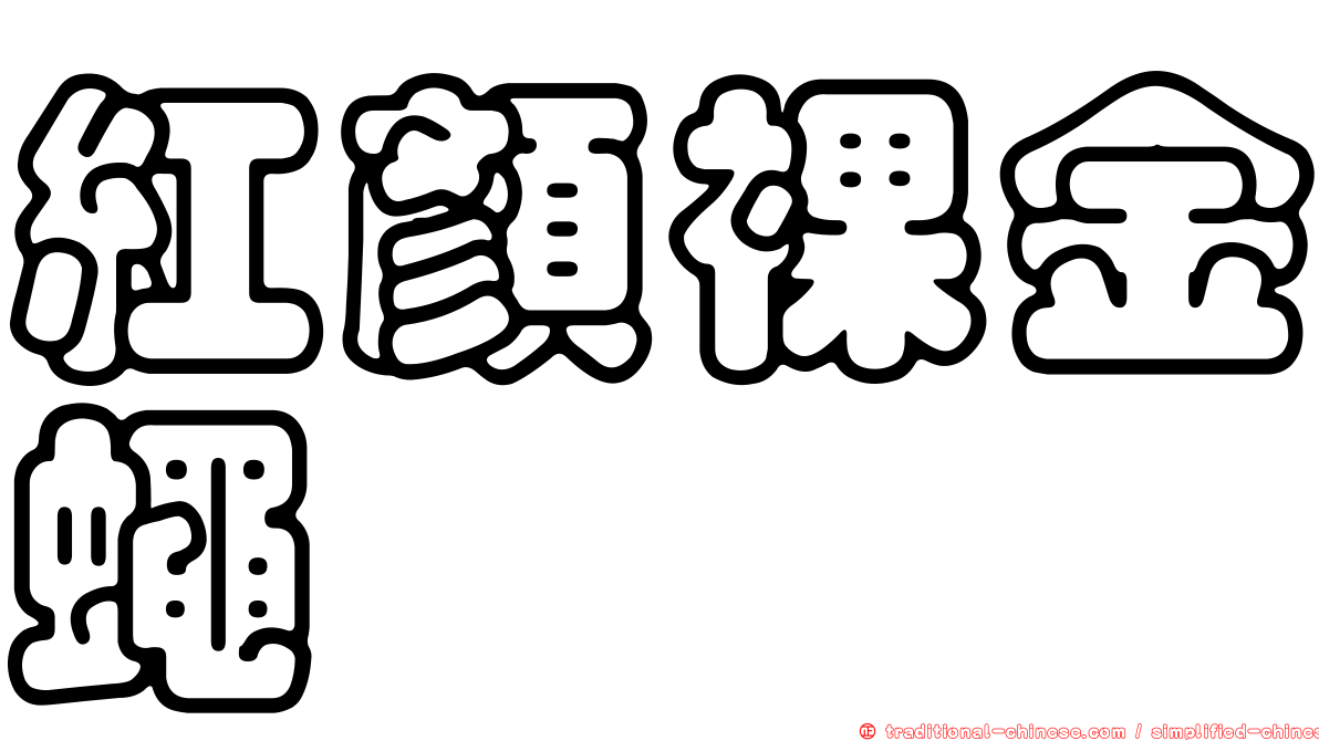 紅顏裸金蠅