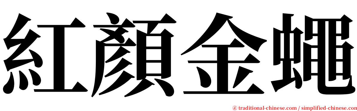 紅顏金蠅 serif font