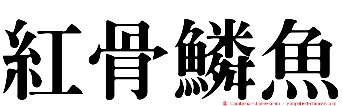 紅骨鱗魚