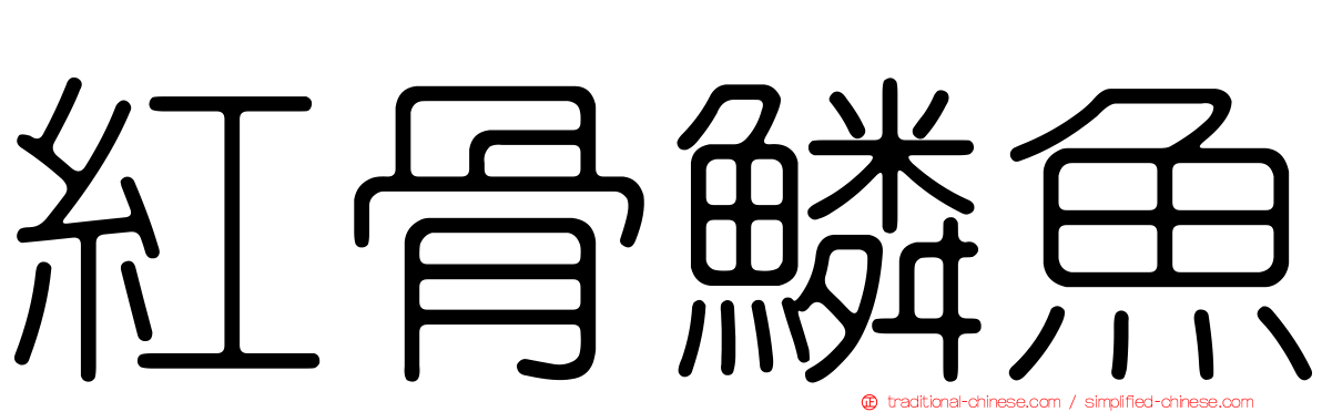 紅骨鱗魚
