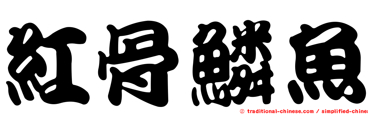 紅骨鱗魚