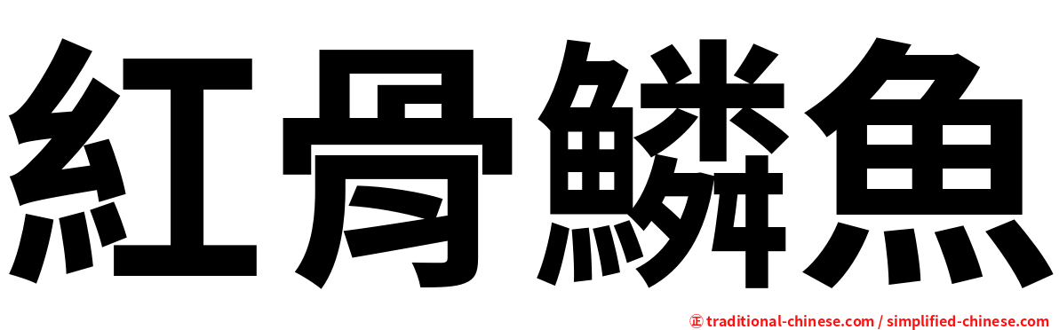 紅骨鱗魚