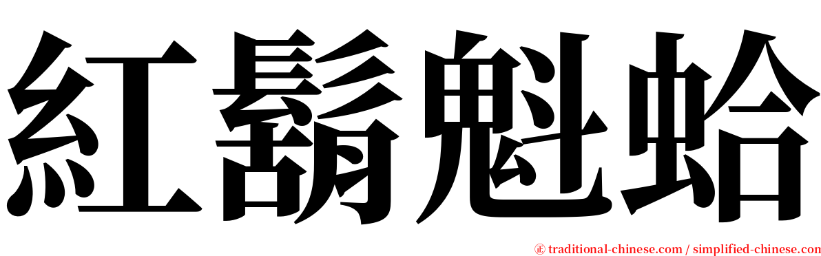 紅鬍魁蛤 serif font