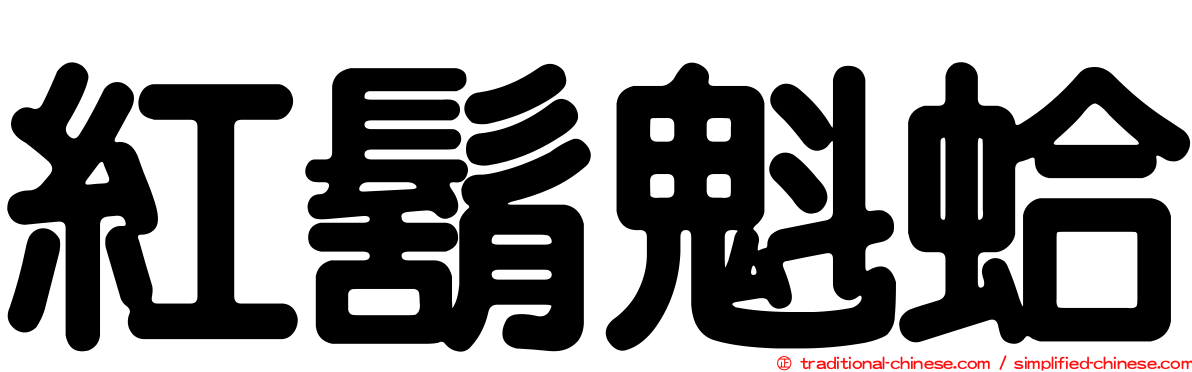 紅鬍魁蛤