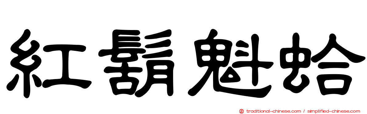 紅鬍魁蛤