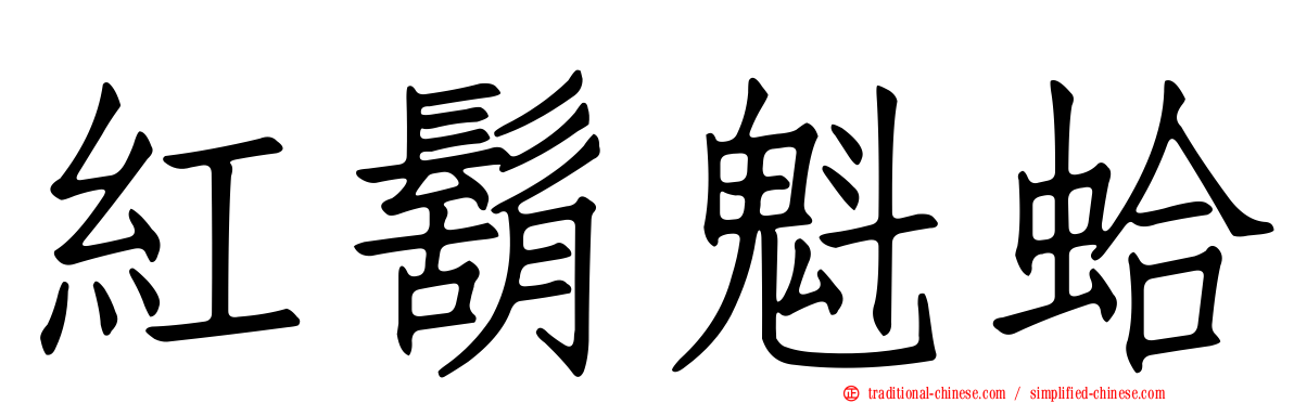 紅鬍魁蛤