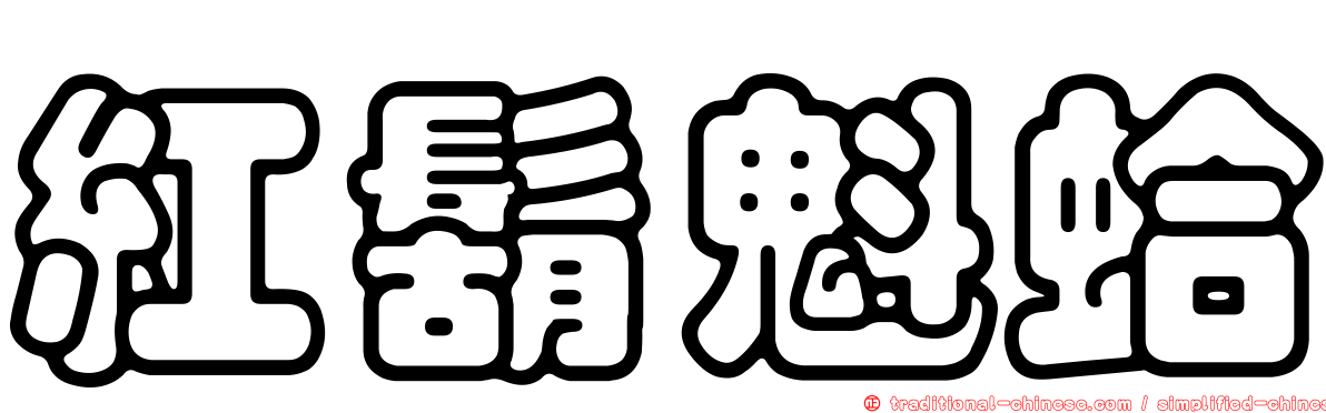 紅鬍魁蛤